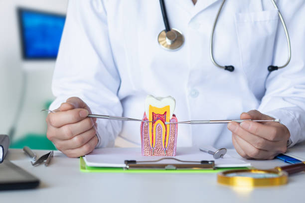 Best Weekend Emergency Dentist in Point Mackenzie, AK